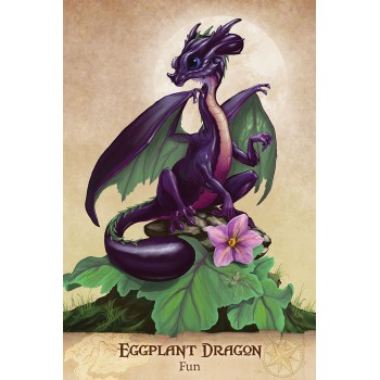 Field Guide To garden Dragons Taro kortos US Games Systems